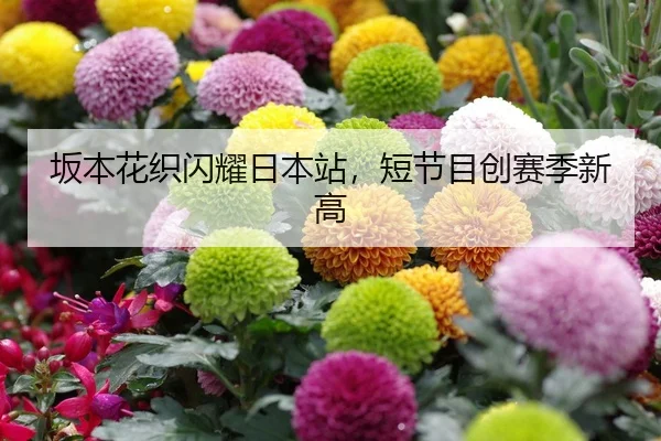 坂本花织闪耀日本站，短节目创赛季新高