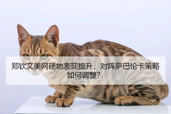 zheng-qin-wen-mei-wang-ying-di-biao-xian-ti-sheng-dui-zhen-sa-ba-lun-ka-ce-lve-ru-he-tiao-zheng-2-737.jpg