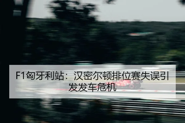xiong-ya-li-zhan-han-mi-er-dun-pai-wei-sai-shi-wu-yin-fa-fa-che-wei-ji-2-860.jpg