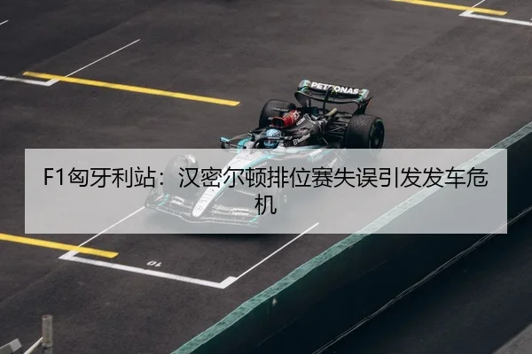 xiong-ya-li-zhan-han-mi-er-dun-pai-wei-sai-shi-wu-yin-fa-fa-che-wei-ji-3-112.jpg